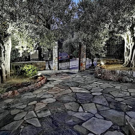 Vila Elaion Thea-Nies Sourpi Exteriér fotografie