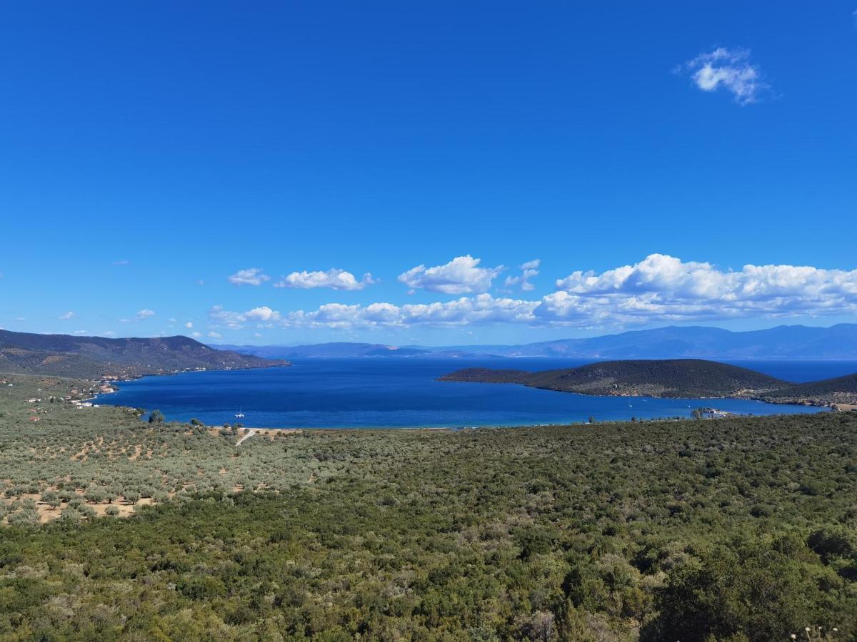 Vila Elaion Thea-Nies Sourpi Exteriér fotografie